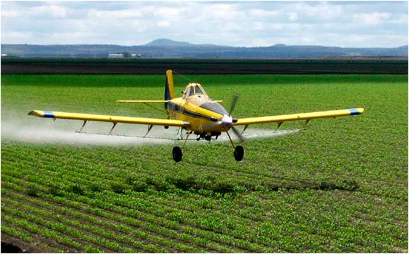 Un champ pour agriculture industrielle