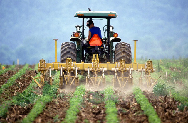 Un tracteur dans un champ