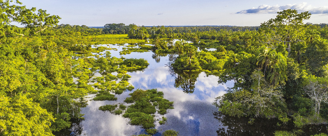 Une vue du Bassin du Congo