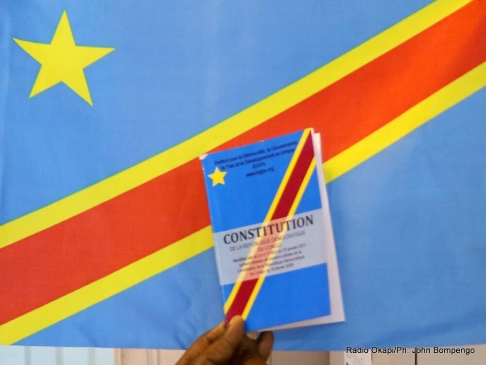 La Constitution : première victoire de la logique du développement sur la logique du pouvoir