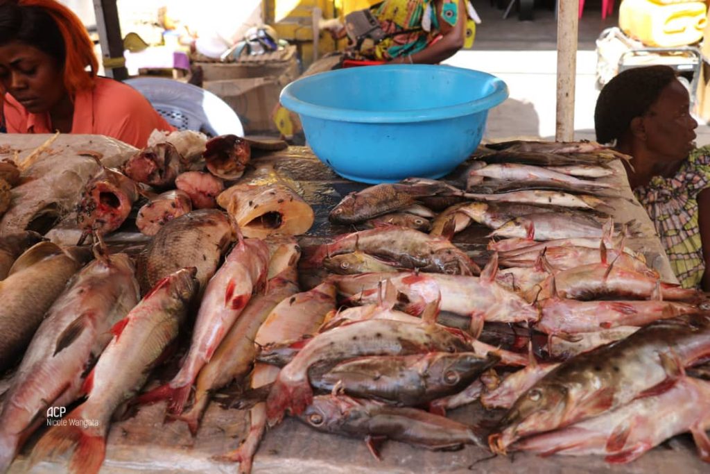 RDC : la 58ème Journée nationale du Poisson du 24 juin 2025 prévue à Matadi, Luozi et Inga