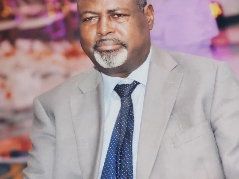 RDC : La sécurité nationale peut-elle être déléguée ? (Par le Prof. José Bakima)