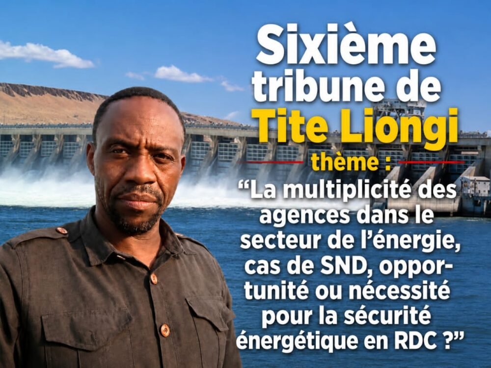 Sixième tribune de Tite Liongi : La multiplicité des agences dans le secteur de l&rsquo;énergie en RDC – Opportunité ou nécessité pour la sécurité énergétique ?