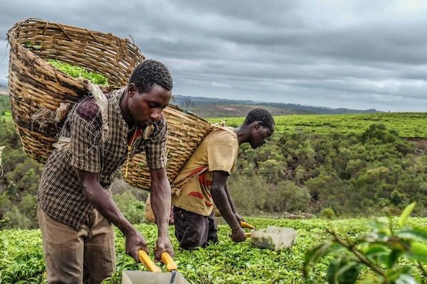 RDC : Lancement du Programme « Vunga », un mécanisme de facilitation du financement des entrepreneurs sous-traitants congolais