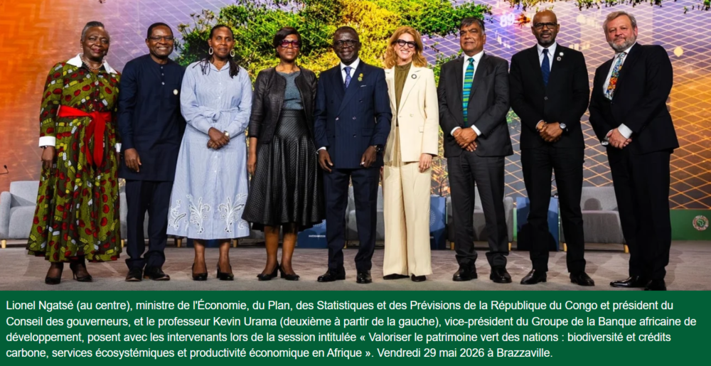 Réunions annuelles 2026 de la BAD : Mieux exploiter le capital naturel de l’Afrique pour donner aux pays les moyens de se développer (experts)