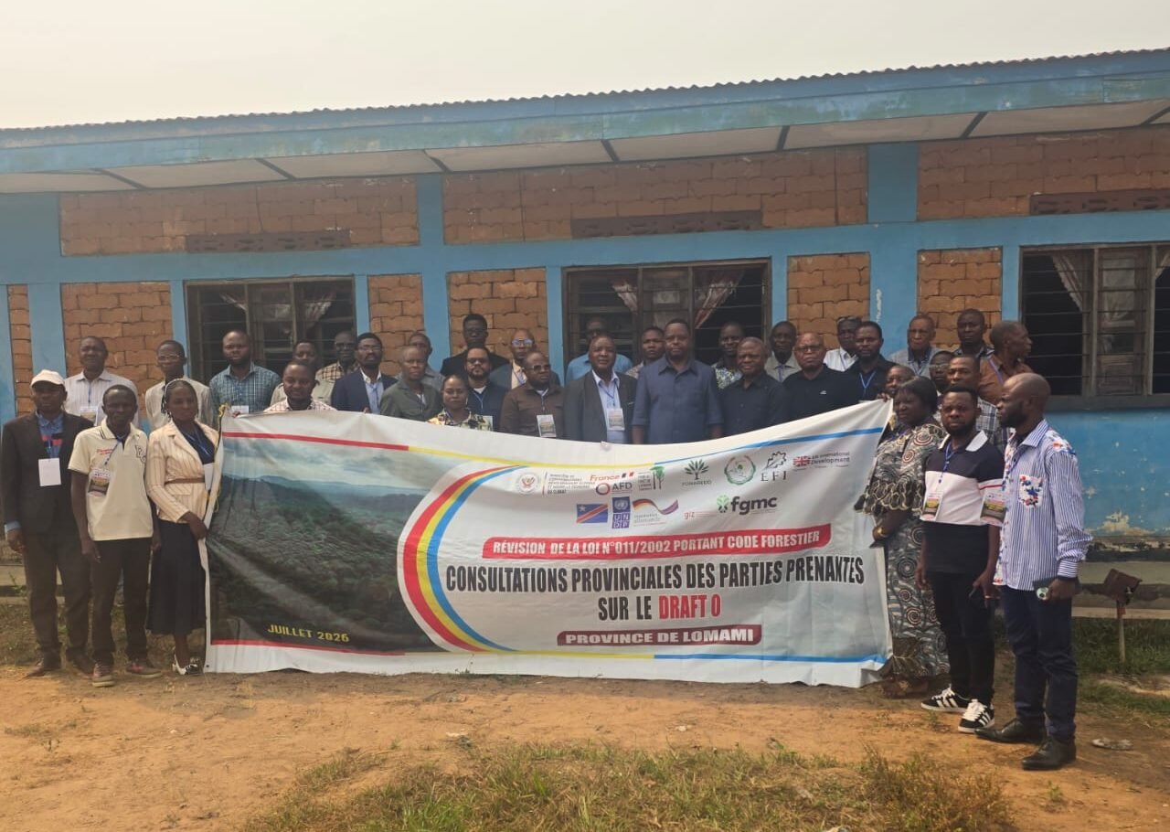 RDC : révision du Code forestier au cœur  des consultations provinciales