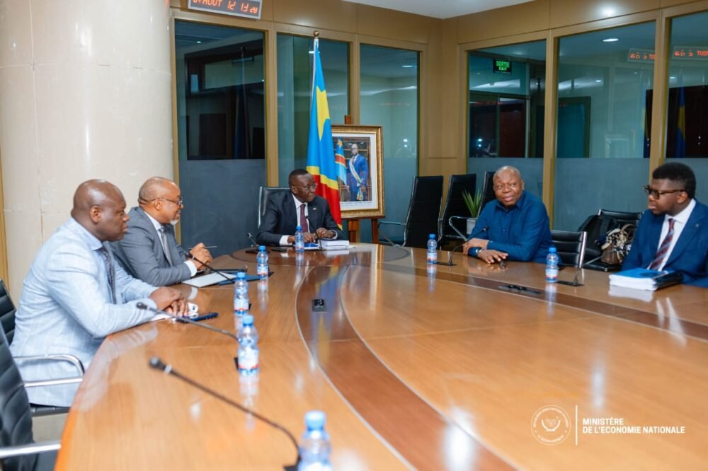 Le VPM Daniel Mukoko a échangé avec le Corps d&rsquo;élite scientifique de l&rsquo;UDPS/Tshisekedi sur les grands enjeux de développement de la RDC