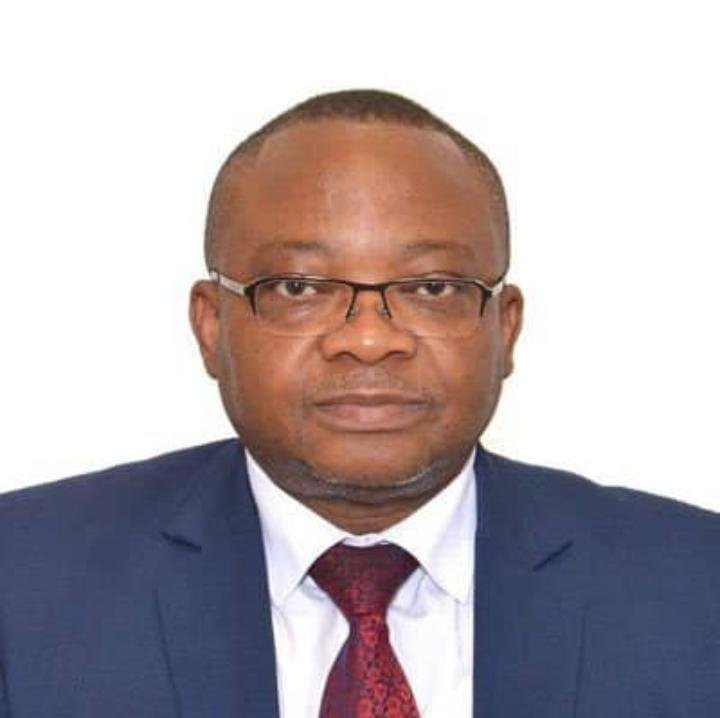 L’Architecture économique : la charpente invisible de la destinée congolaise* (Sénateur Prof. Faustin Luanga)