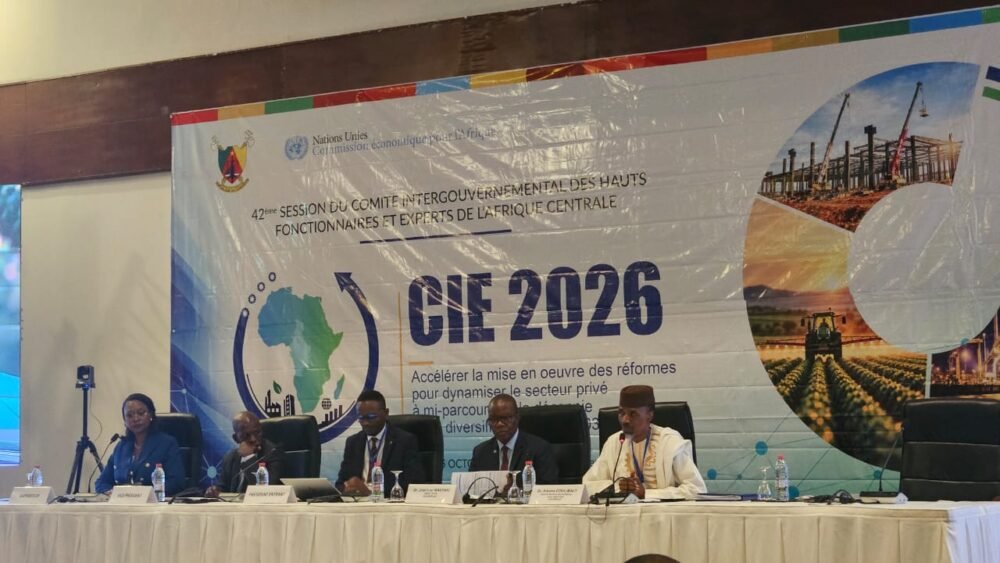 Afrique centrale : la DG de l&rsquo;ANAPI Rachel PUNGU désignée rapporteure du bureau du Comité Intergouvernemental